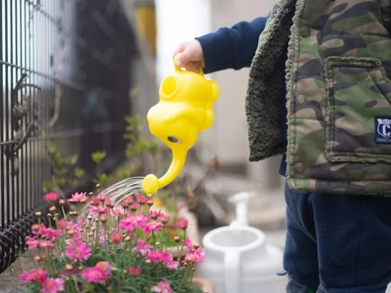 Photo EGR cleaning spray