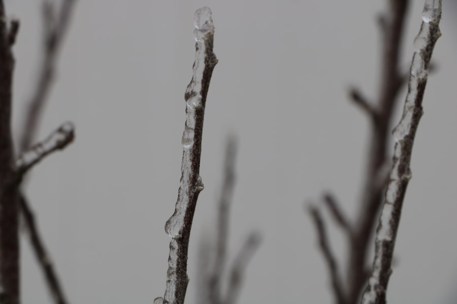 Photo temperature changes