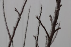 Photo temperature fluctuations