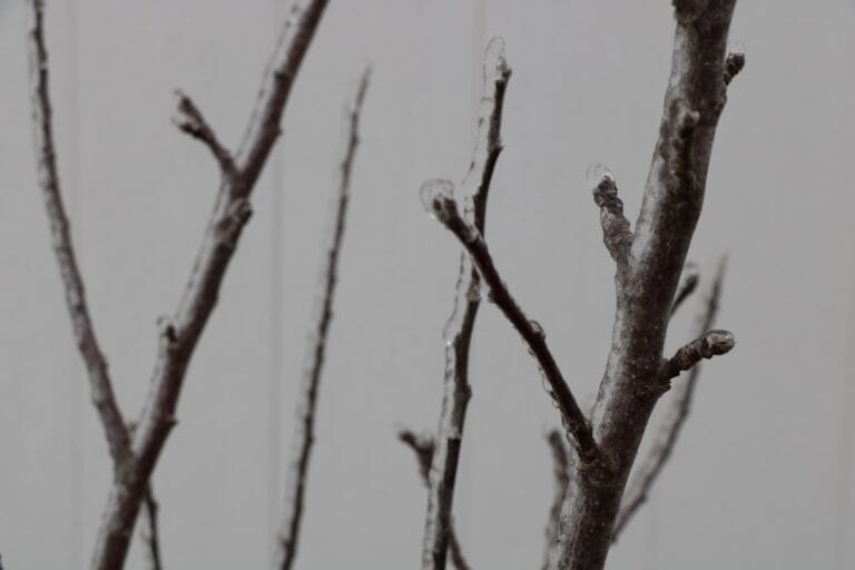 Photo temperature fluctuations