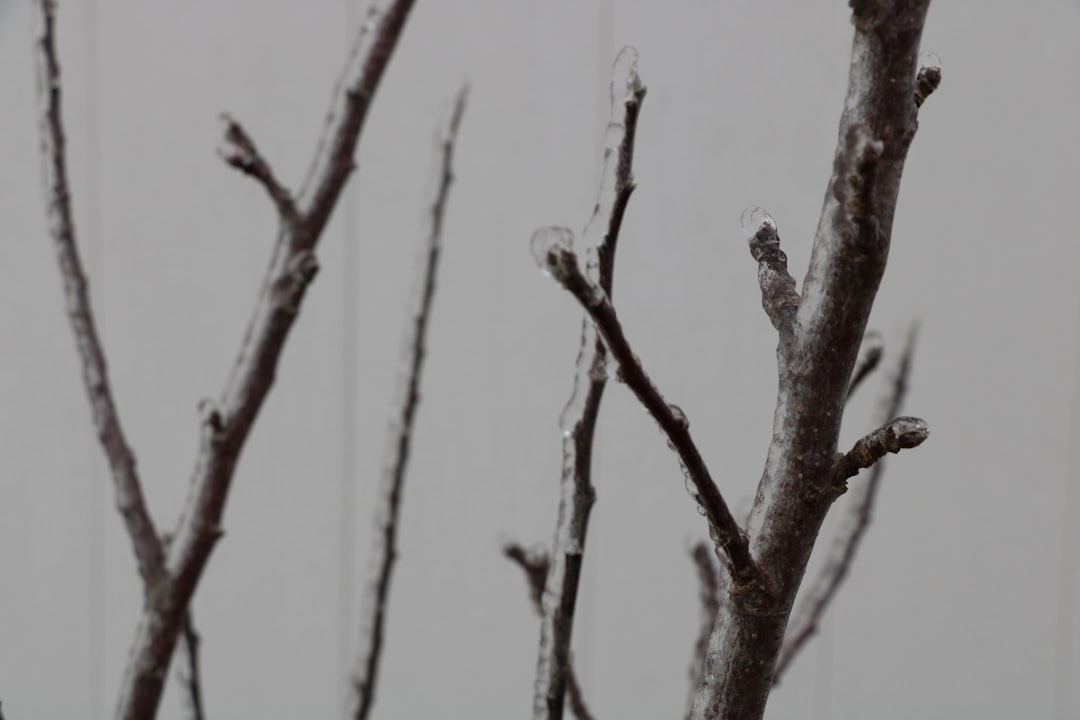 Photo temperature fluctuations