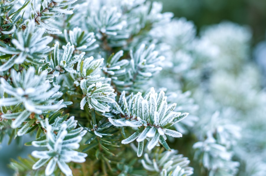 Photo temperature fluctuations