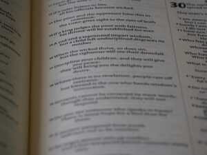 Photo reviziile periodice