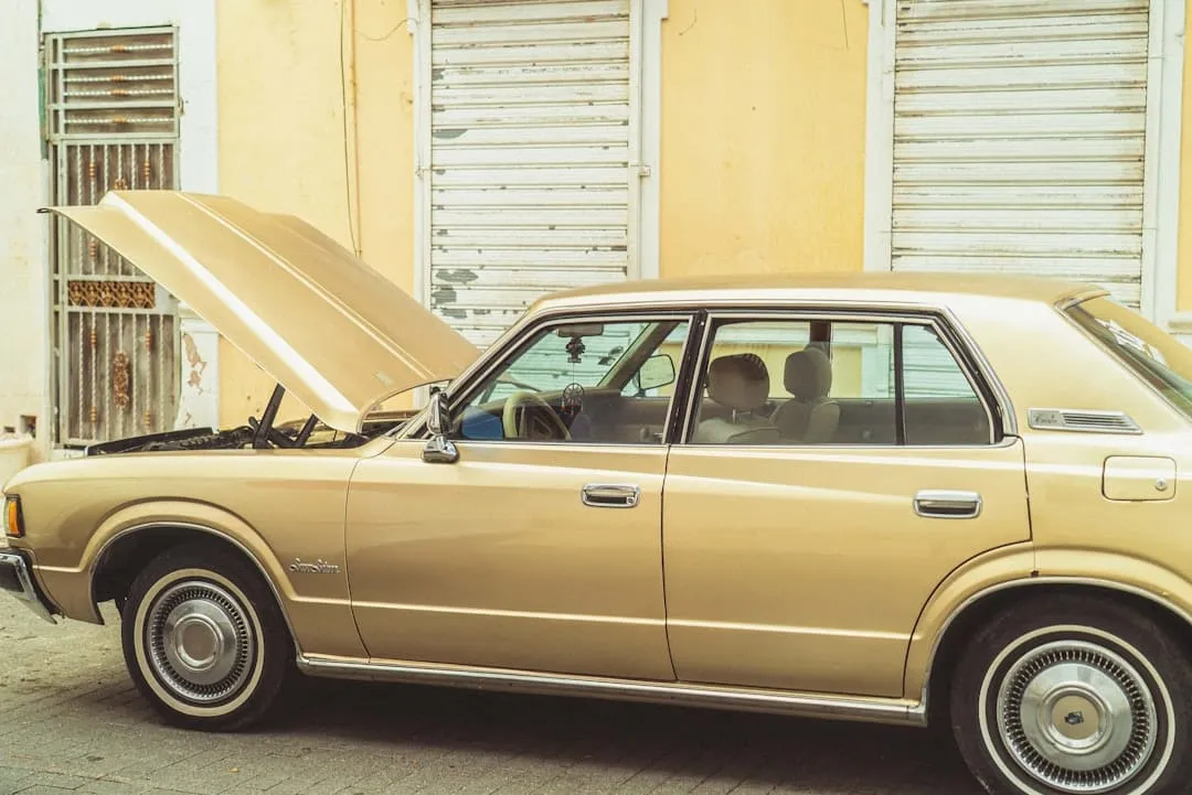 Photo check car history