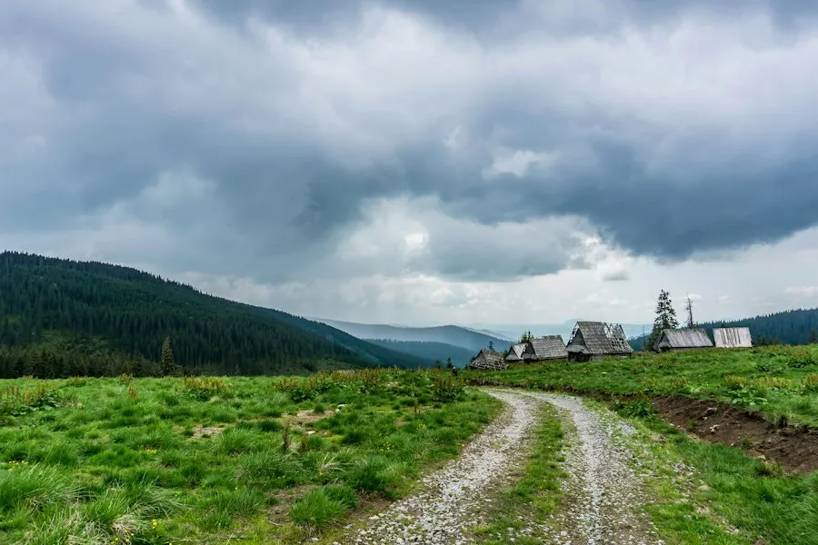 Photo Scenic driving routes Transylvania car