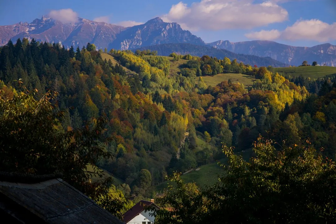 Photo Transylvania scenic road trip mistakes car